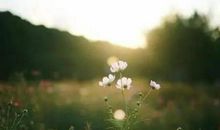 放弃也是一种幸福