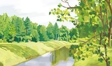 守护绿水青山共创美好中国