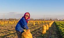 收获了开心的一天