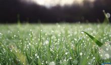 你是春天最美的诗