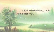 阳光·拼搏·汗水