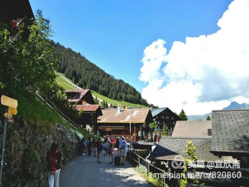 半山旅行