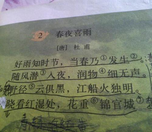 请帮我