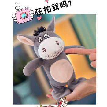 想学习技能的小驴子