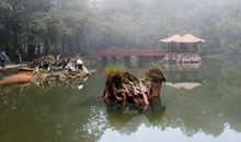 那声音回响在耳边