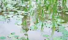 风吹过我七彩的青春