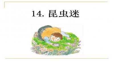 昆虫迷兄弟