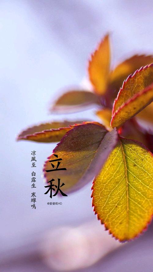 立秋风光