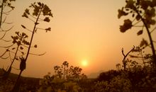 走过岁月的母亲