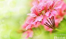 哎，挣钱不容易