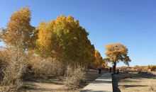 孤苦红尘旅，何处觅知心