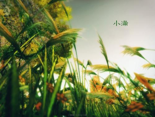 雷雨