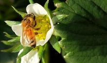 看前方温暖如春