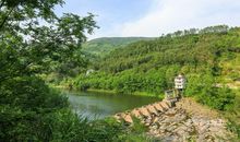 那抹绿色泛在时光之河