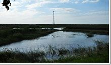 我生长的好地方