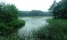 雨中游日湖