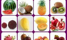 从识图记忆想到的