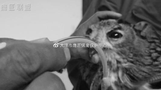 了解你眼中的眼泪