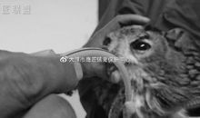 读懂你眼中的泪光