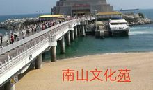 蝙蝠写给人类的一封信