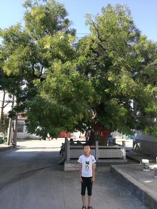 我党员爷爷