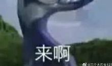 悲喜交加的那一天