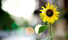 感谢你所给予我的力量