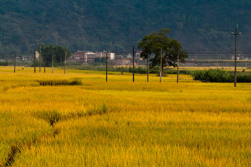 田园·风景·航行