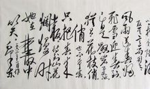 《卜算子·咏梅》改写