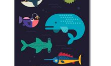 寻宝能手“小金鱼”