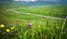 一路陪伴一路阳光