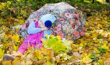 快乐的树叶姑娘