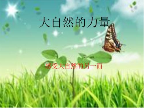请相信自然的力量