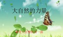 请相信大自然的力量