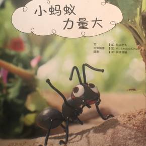 小蚂蚁的强大力量