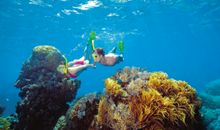 游海底世界有感