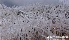 入冬的第一场雨