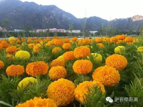 好漂亮