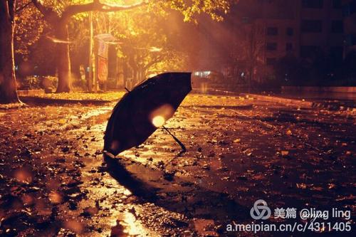 爱在雨夜