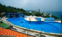 游玩香港海洋公园