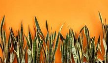 塑造一个最好的自己