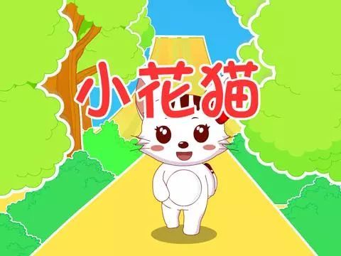 我和猫的故事