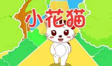 我和猫咪的故事