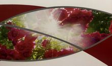 追梦——我的中国梦