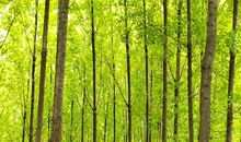 那一段幸福的时光