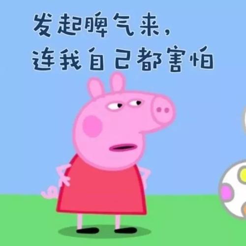 嘿，我的书虫