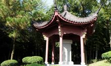 美丽的须江公园