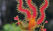 节日里童年味儿