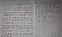 给小鸡戴口罩作文400字