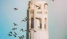 再见我要和你告别了